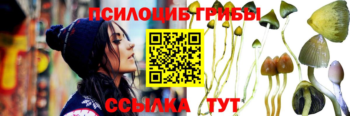 МАРИХУАНА Кировск
